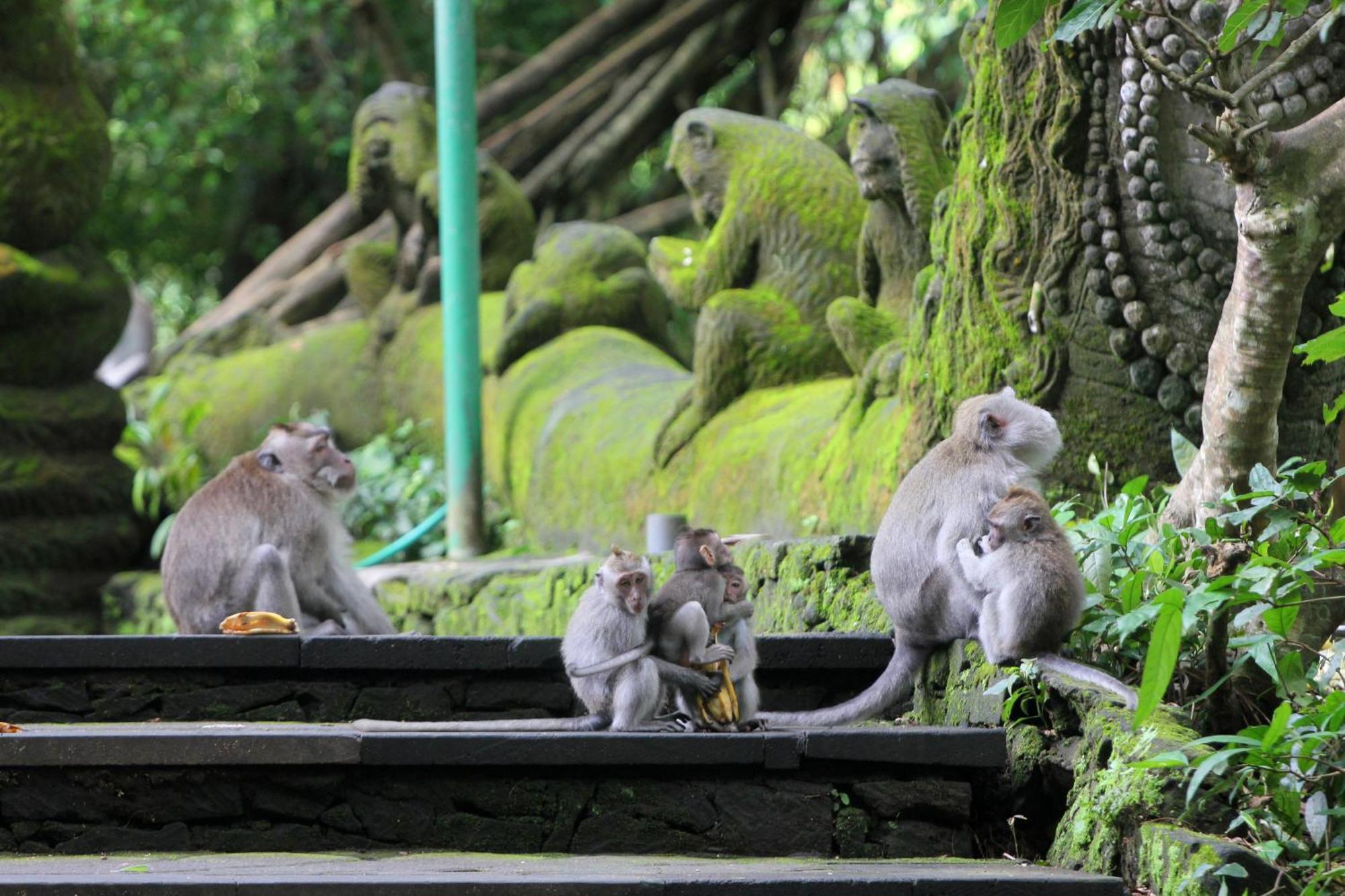 Sari Gong Guest House, A Trishula Collection Ubud  Exterior photo